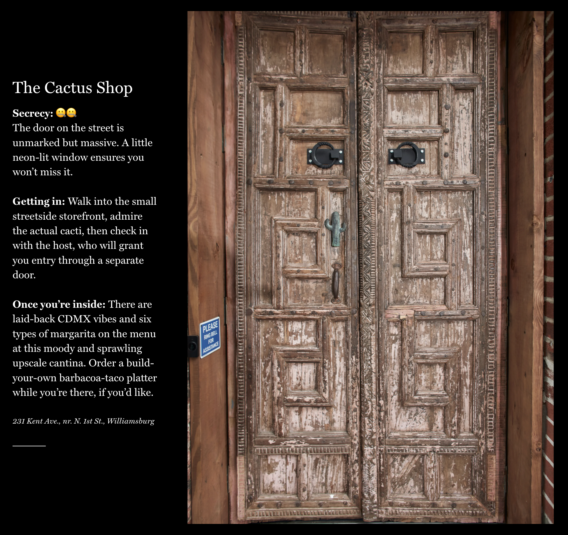 A Ghetto Cactus1 番と2番 新品 Press | The Cactus Shop in Brooklyn, NY